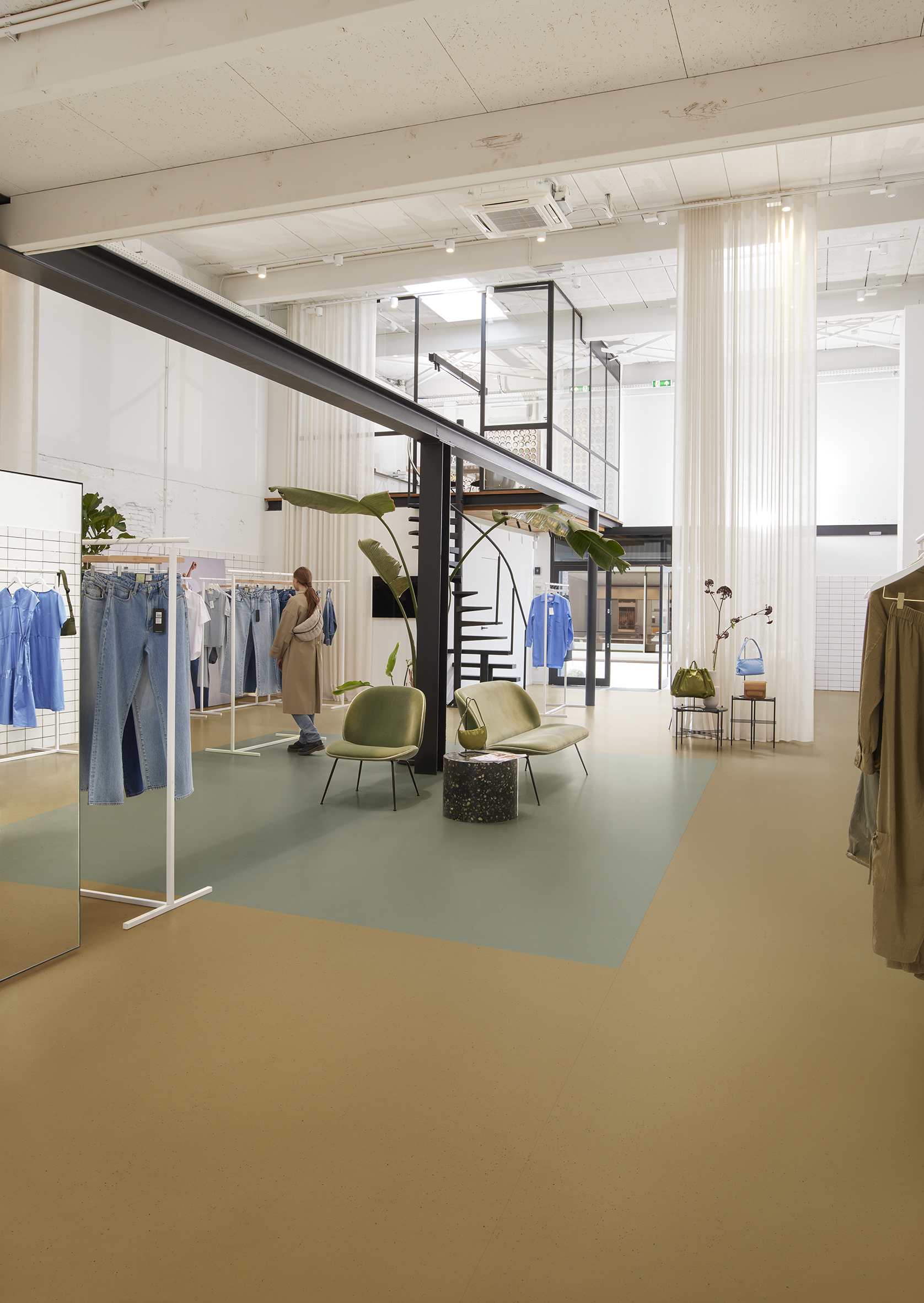 Curcuma 3587, Eucalyptus 3588