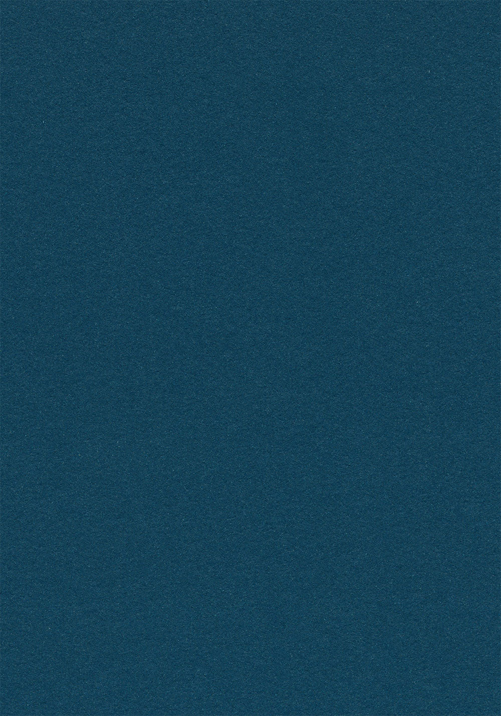 Blue Berry 2214