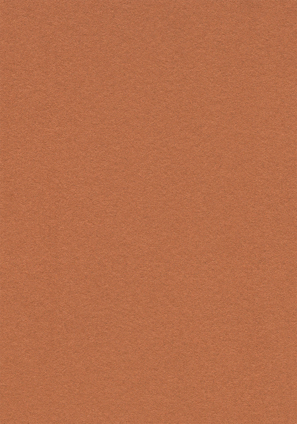 Cinnamon Bark 2207