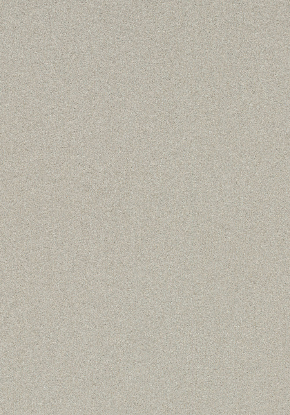 Oyster Shell 2206