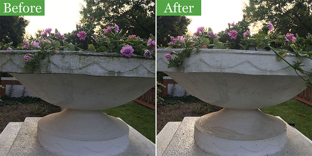 Concrete Planter (We used a brush with the cleaner) (PIN)
