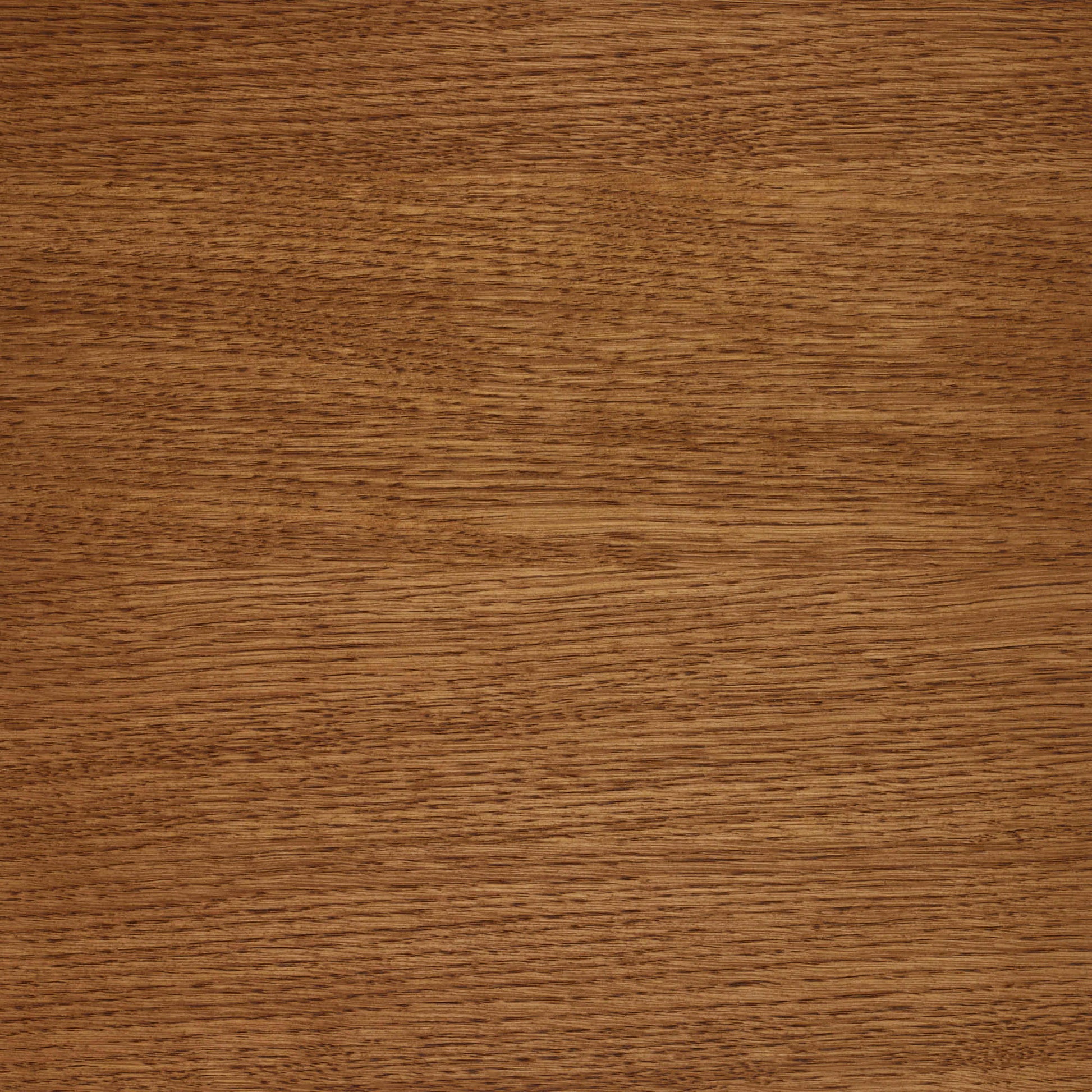 Hazelnut