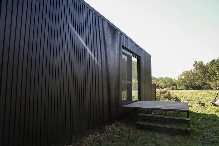 Saddle Black over Pine