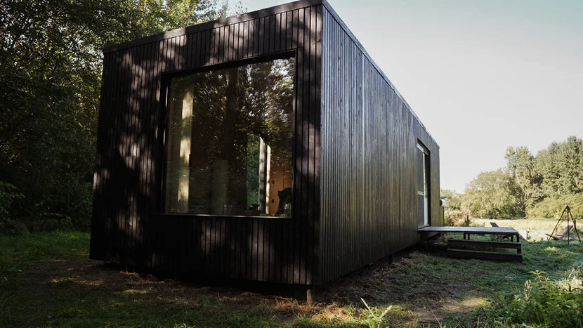 Saddle Black over Pine