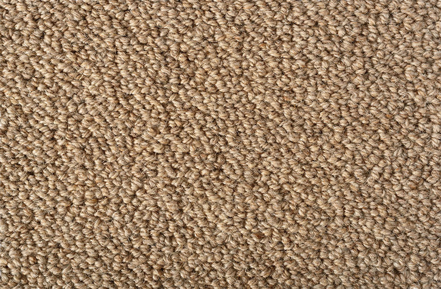 Which Earth weave area rug and padding would be best for a room that needs to have reduced loud echo noise?