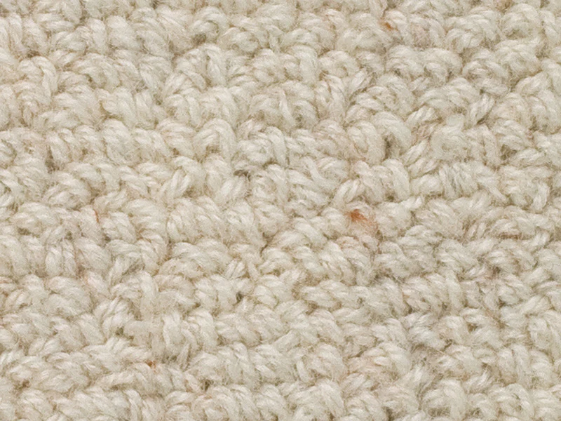 Is this carpet easily snagged by dogs' toenails? Is this a carpet that would wear well with a family pet around?