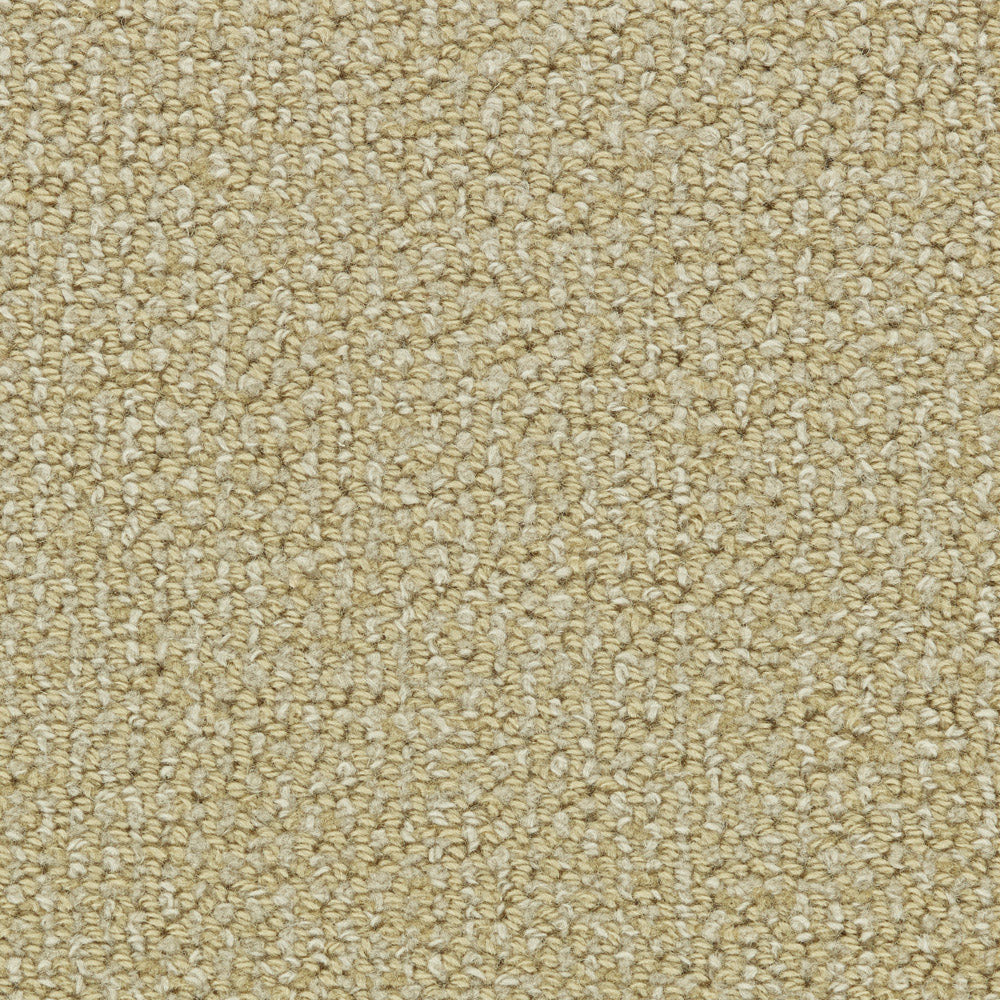 Wool Carpet by J Mish, Charade Questions & Answers