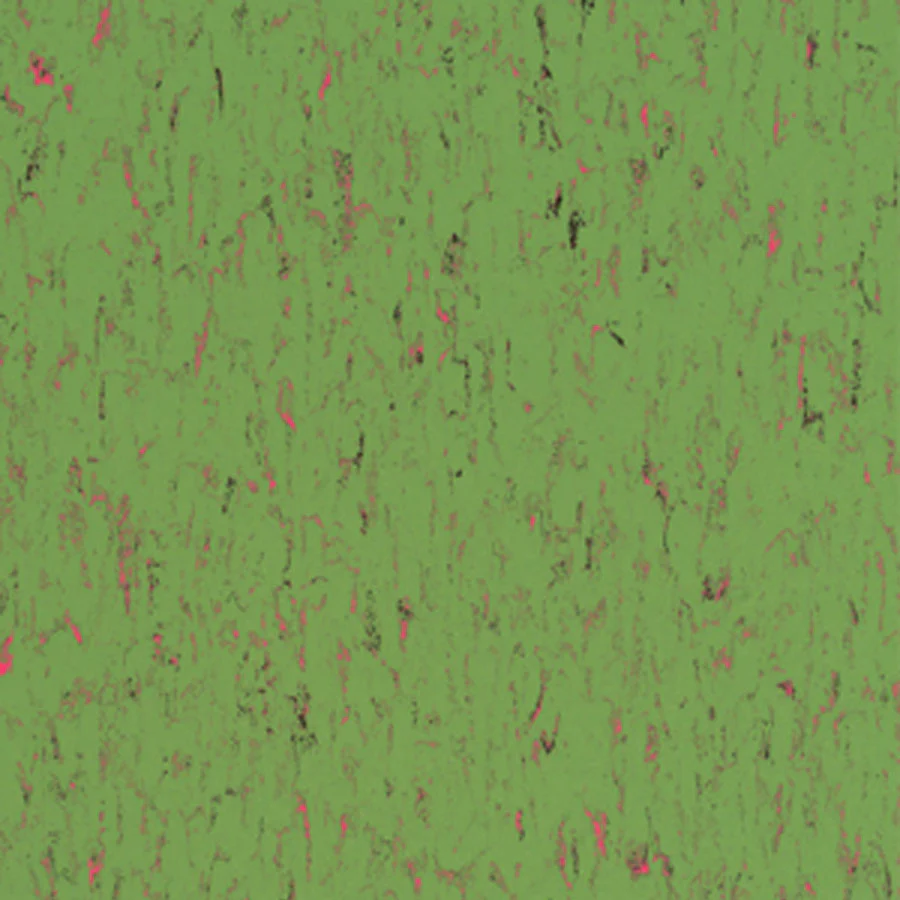 Forbo Marmoleum Dutch Design Questions & Answers