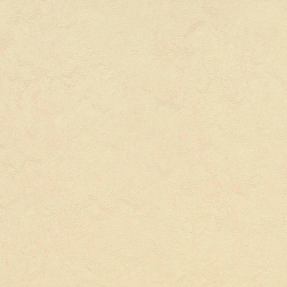 Forbo Marmoleum Unexpected Nature - Sheet Questions & Answers