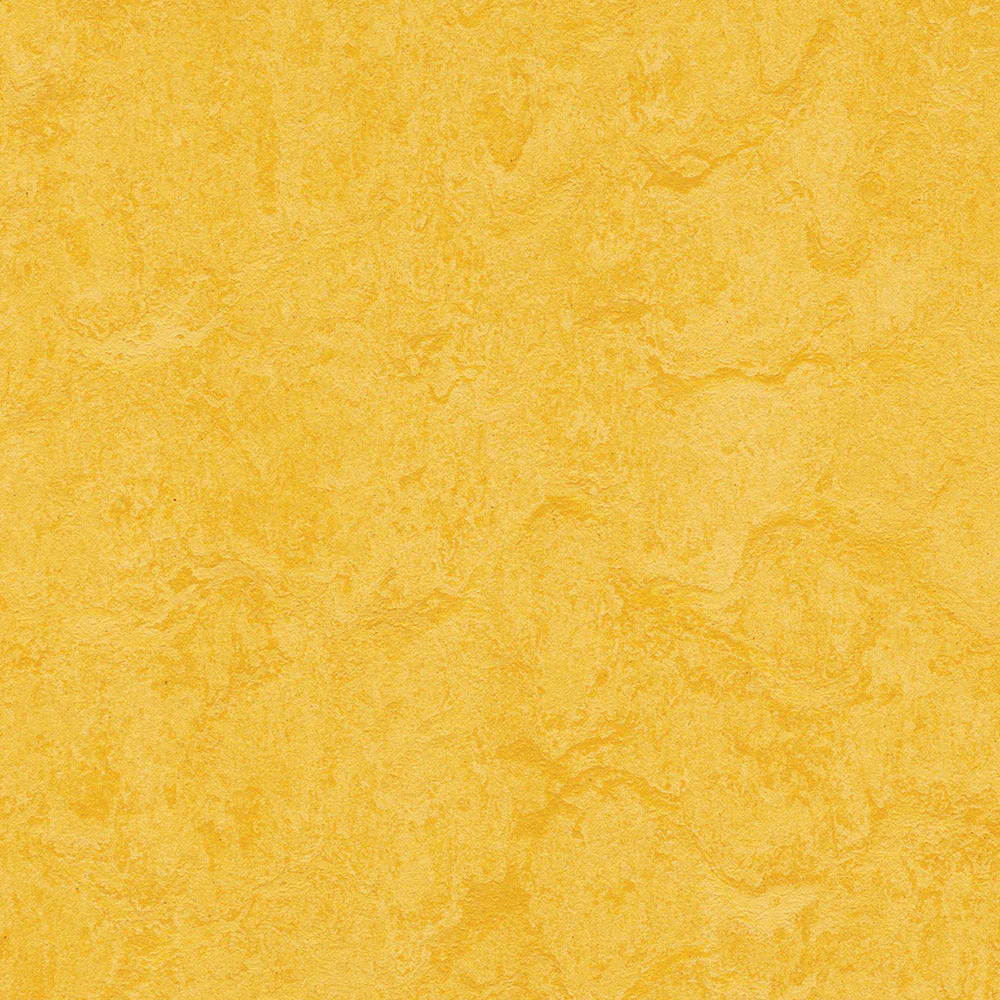 SAMPLE - Forbo Marmoleum Composition Sheet (MCS), Lemon Zest Questions & Answers