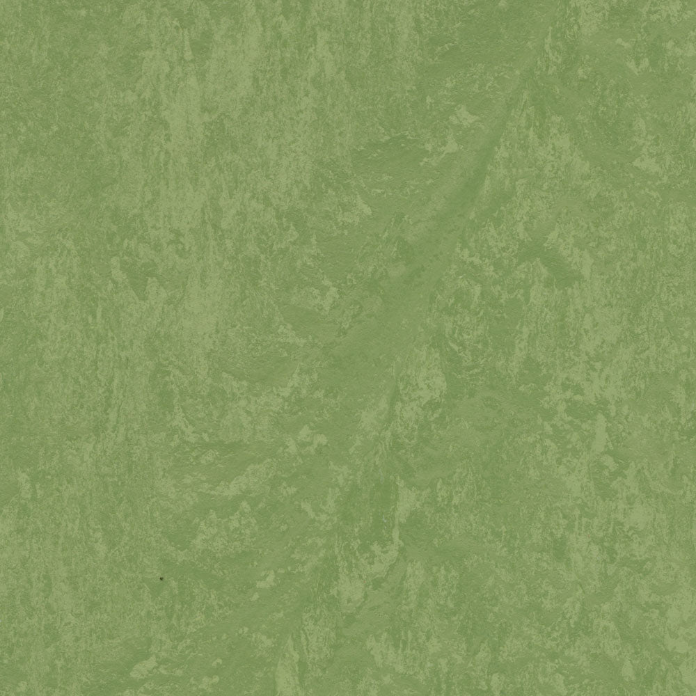 Hi, I had a question and also feedback on our great experience with Marmoleum click installed back in Spring 2021. We did a kitchen, bathroom, laundry room at our cabin in Marmoleum click and it's great and we would recommend. My current question is whether click or MCT would be the best option for the kitchen in our home. My concerns are that we have painted plywood in our kitchen/laundry/bathroom and we would need to have appliances on the Marmoleum. Also, we used Barbados and Black in our cabin which was a great combo with old pine walls but not great with our yellow and white kitchen. Thinking that White Marble in MCT might be better (white is Swiss Coffee). Can we put MCT down if the floor has been painted and has some rough areas?