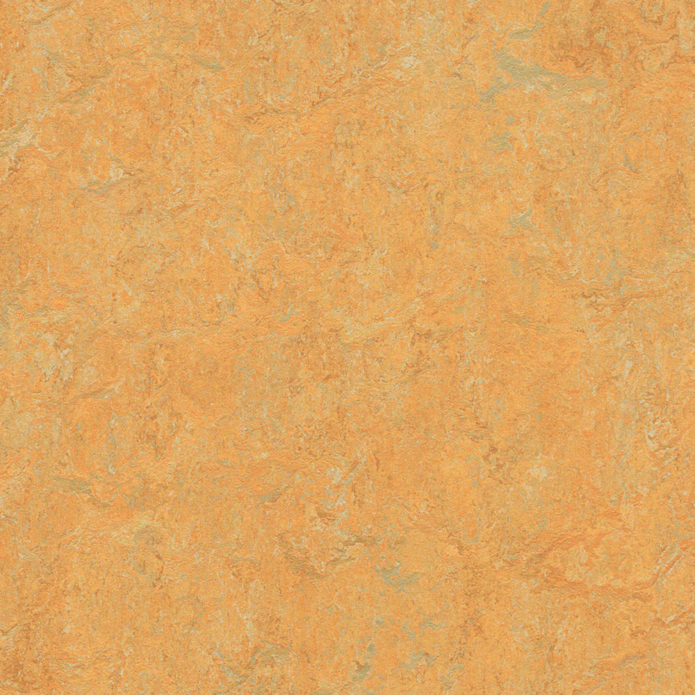 Does the color "shell" come in click floating?
