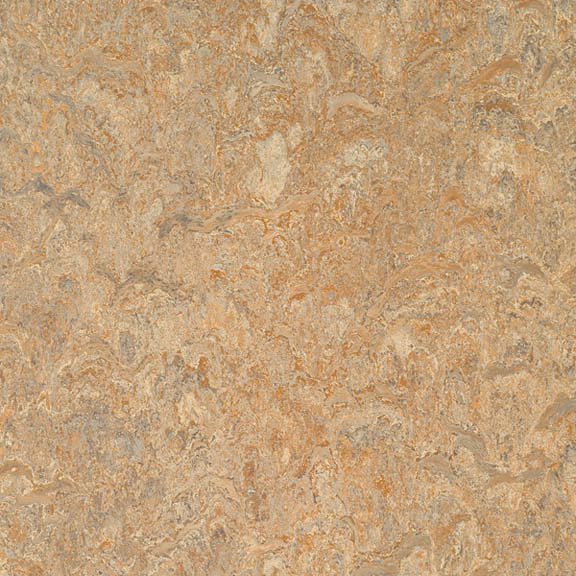 SAMPLE - Forbo Marmoleum Modular - Glue Down Tile, Donkey Island Questions & Answers