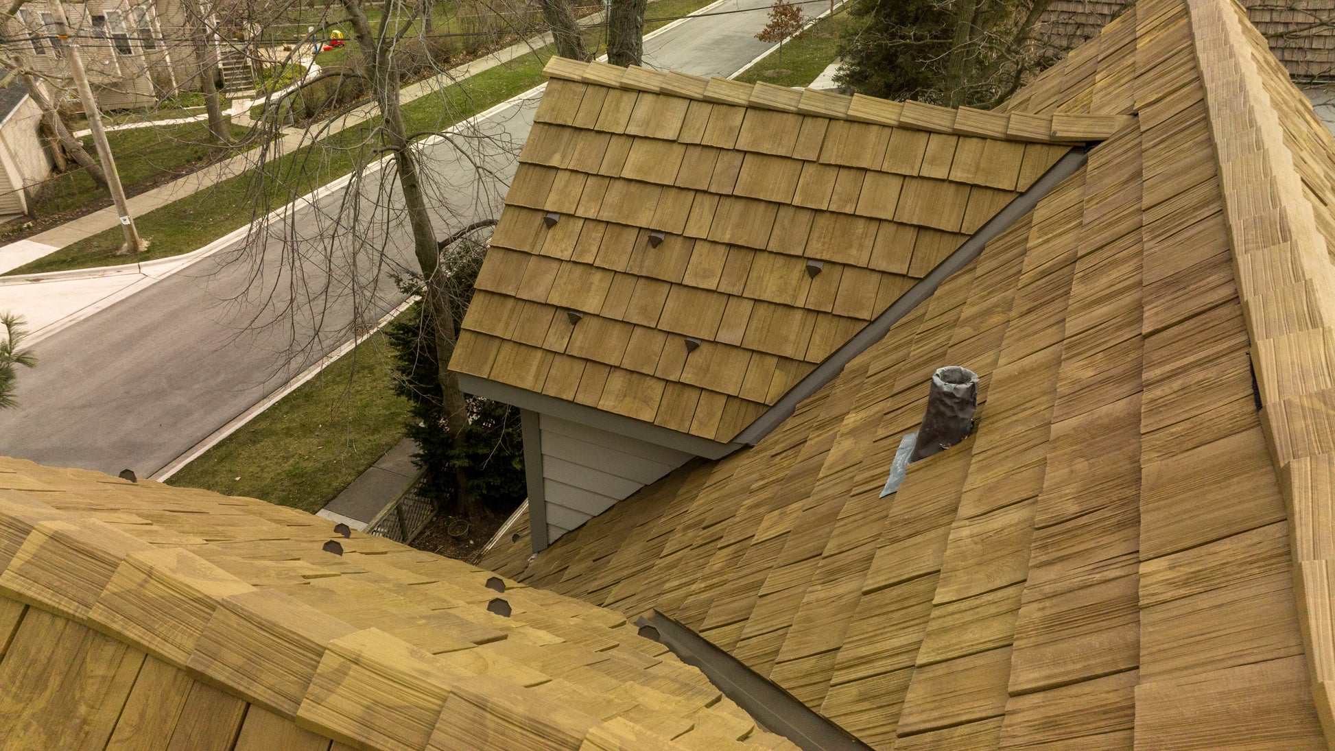 Premium: New Cedar