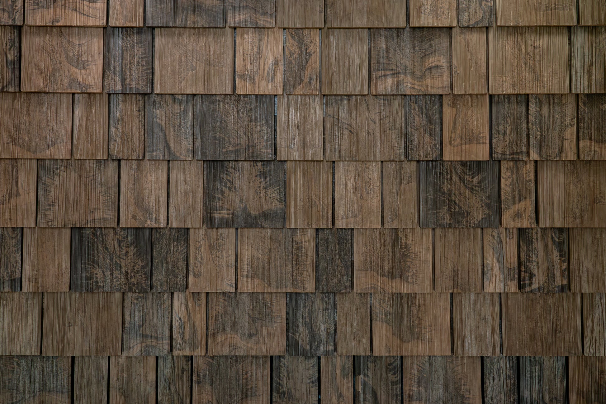 Beechwood