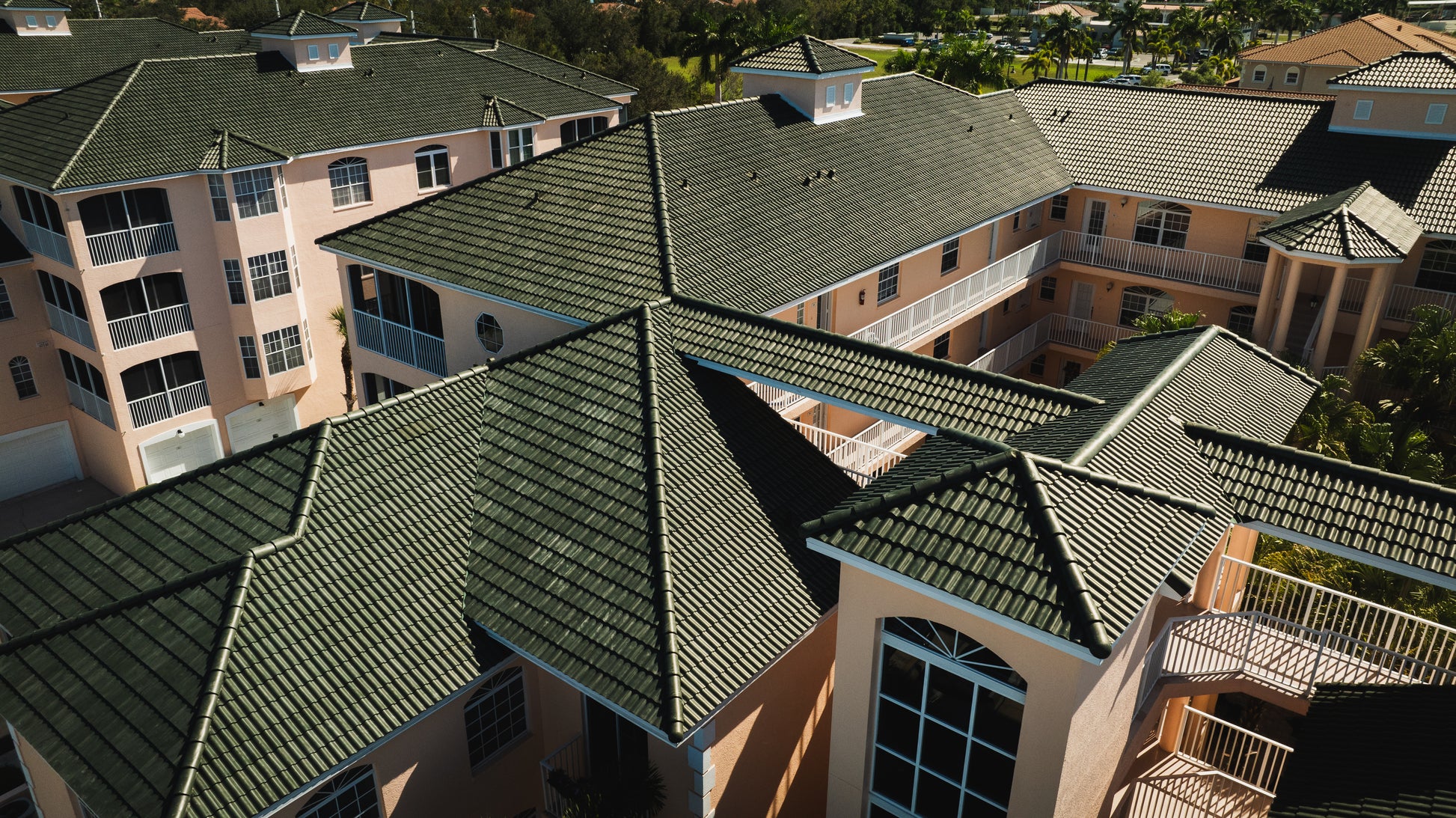 Premium: Pine Green