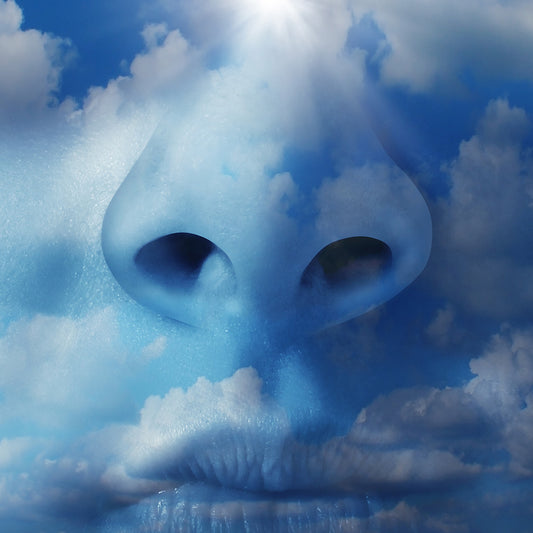 Large image of a nose with a blue sky backdrop