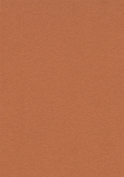 Cinnamon Bark