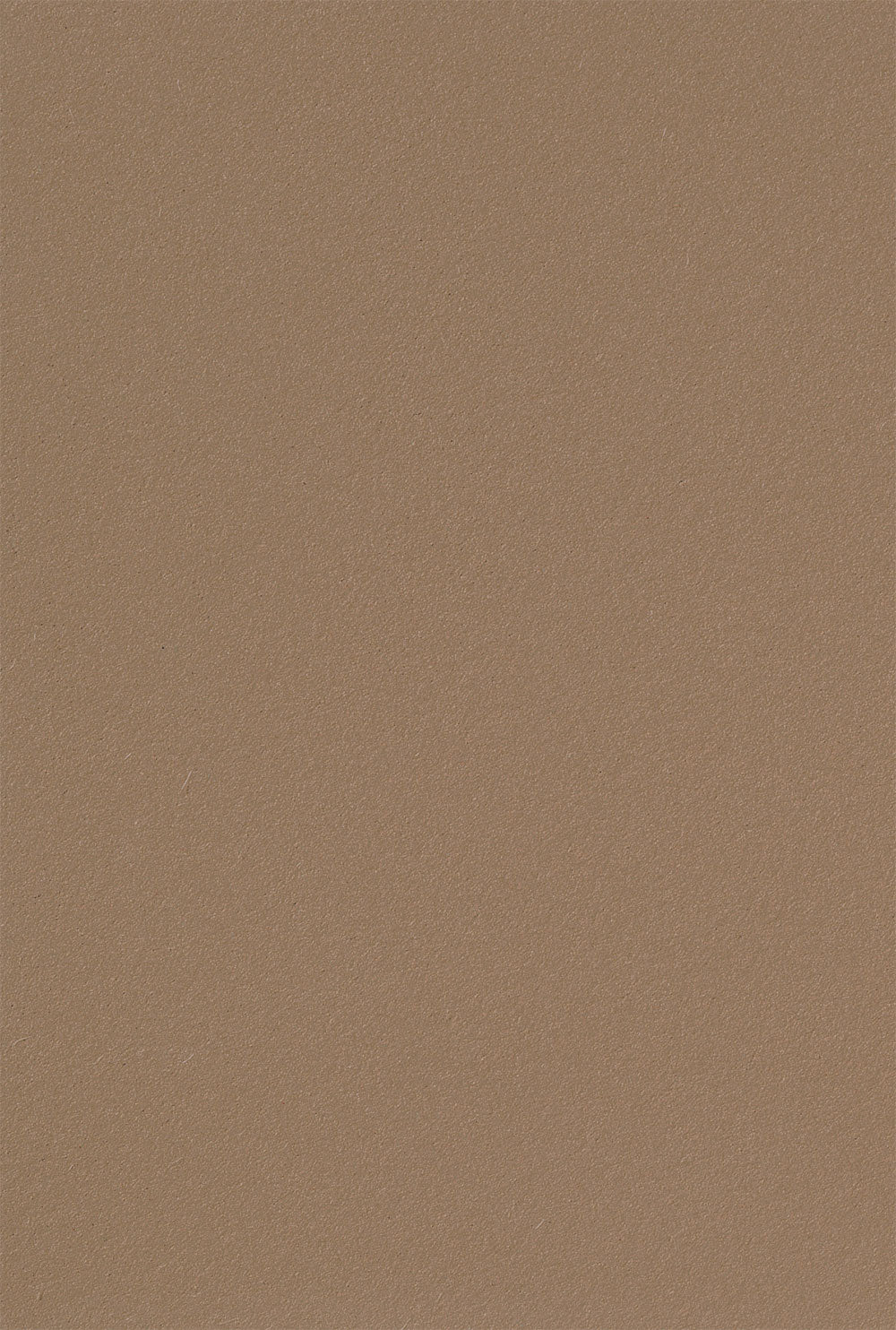 Nutmeg Spice