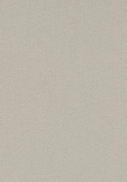 Oyster Shell 2206