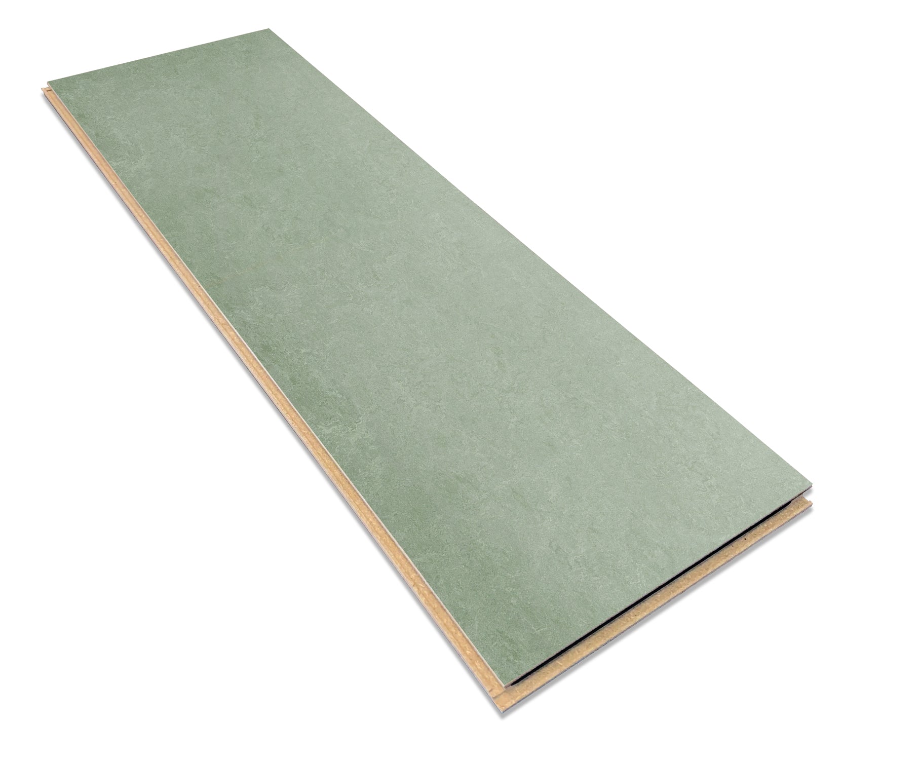 Sage 3891