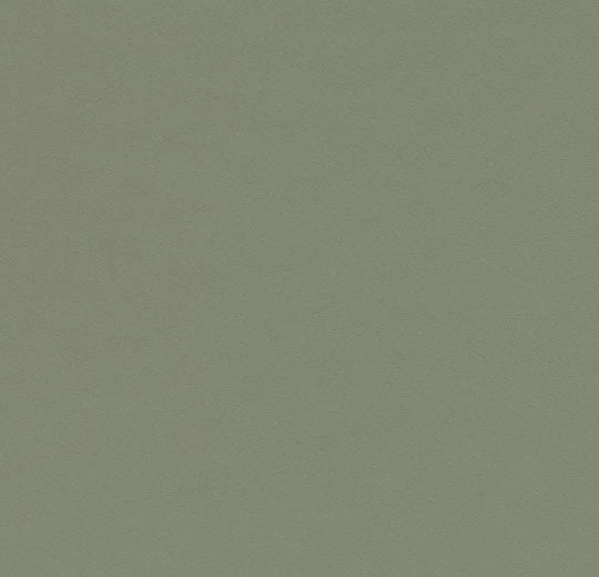 Olive 4184