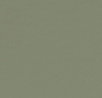 Olive 4184