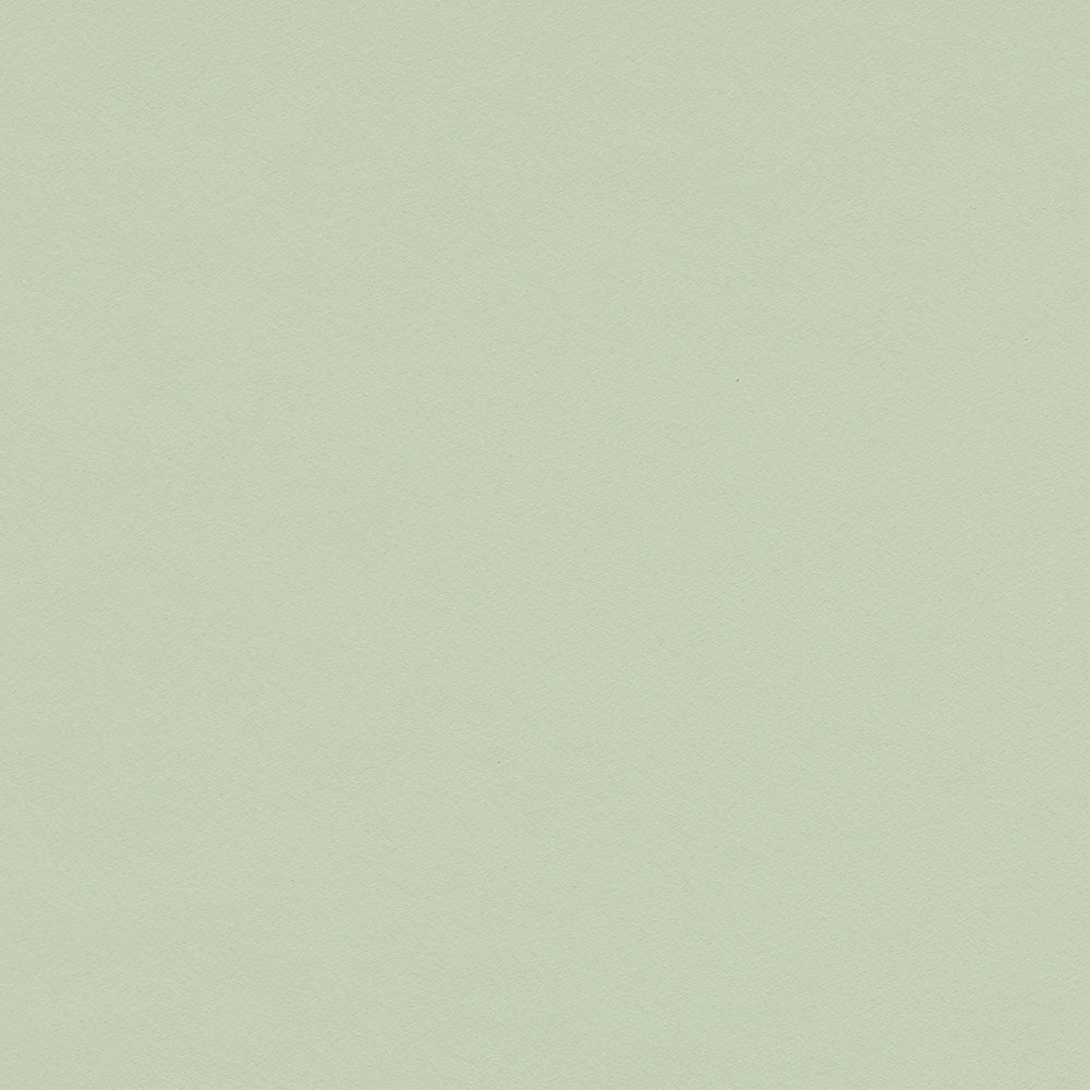Pistachio