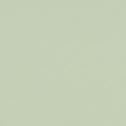 Pistachio