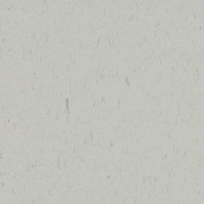 Frosty Grey