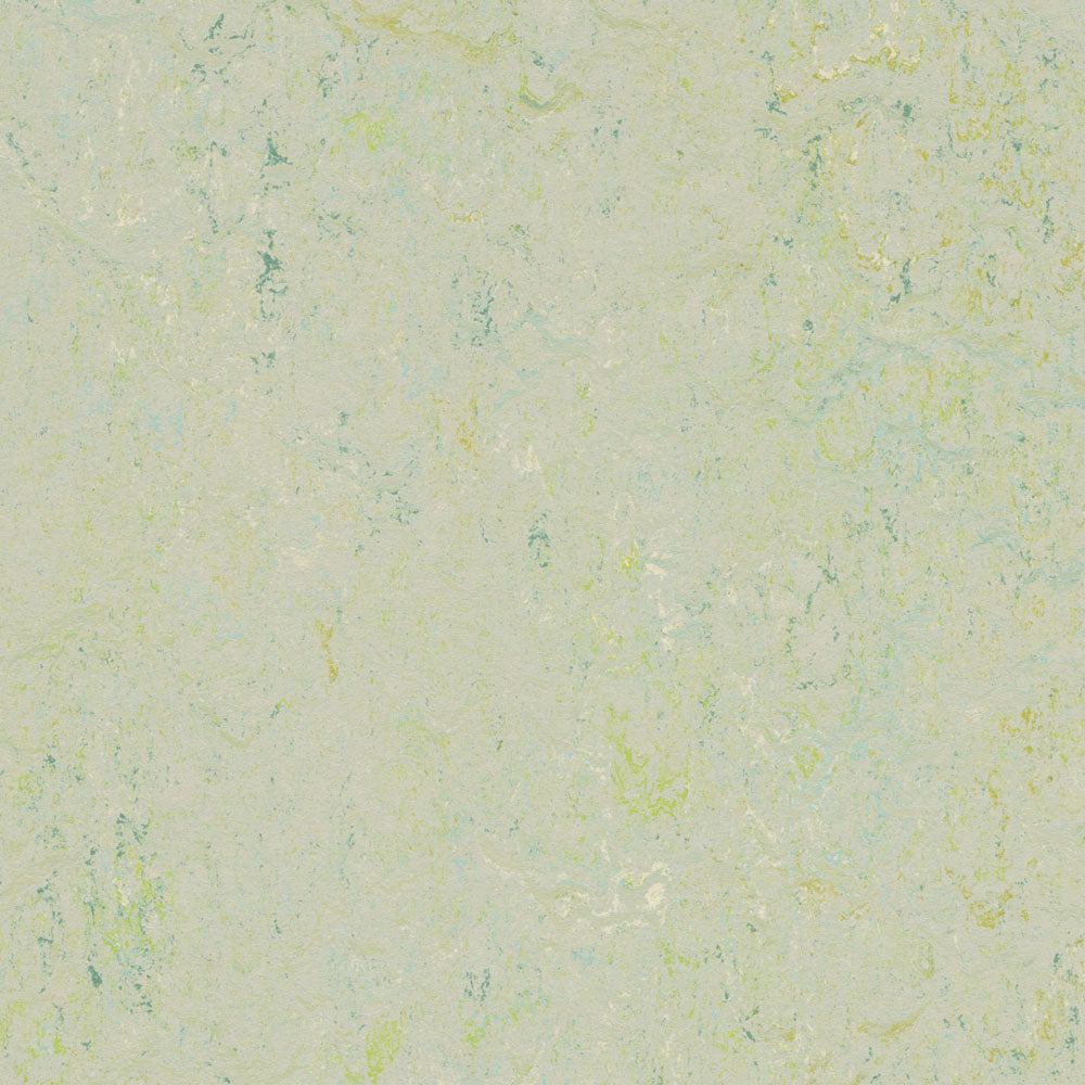 SAMPLE - Forbo Marmoleum Click Cinch Loc Seal, Salsa Verde – Green ...