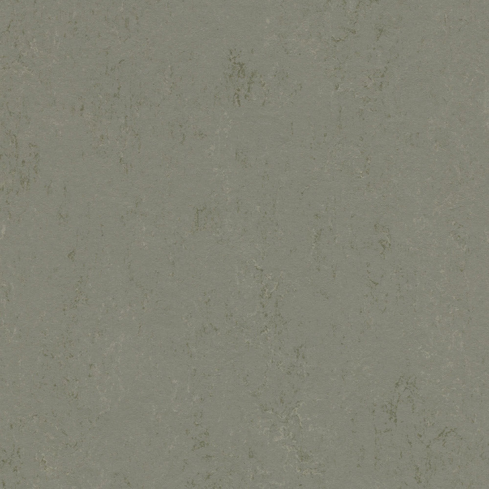 Glacier