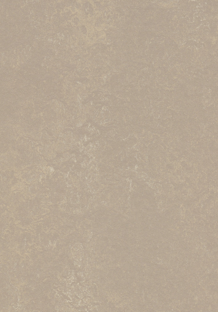 Fossil