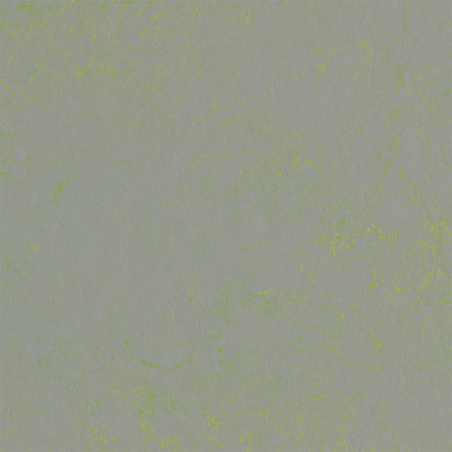 Green Shimmer