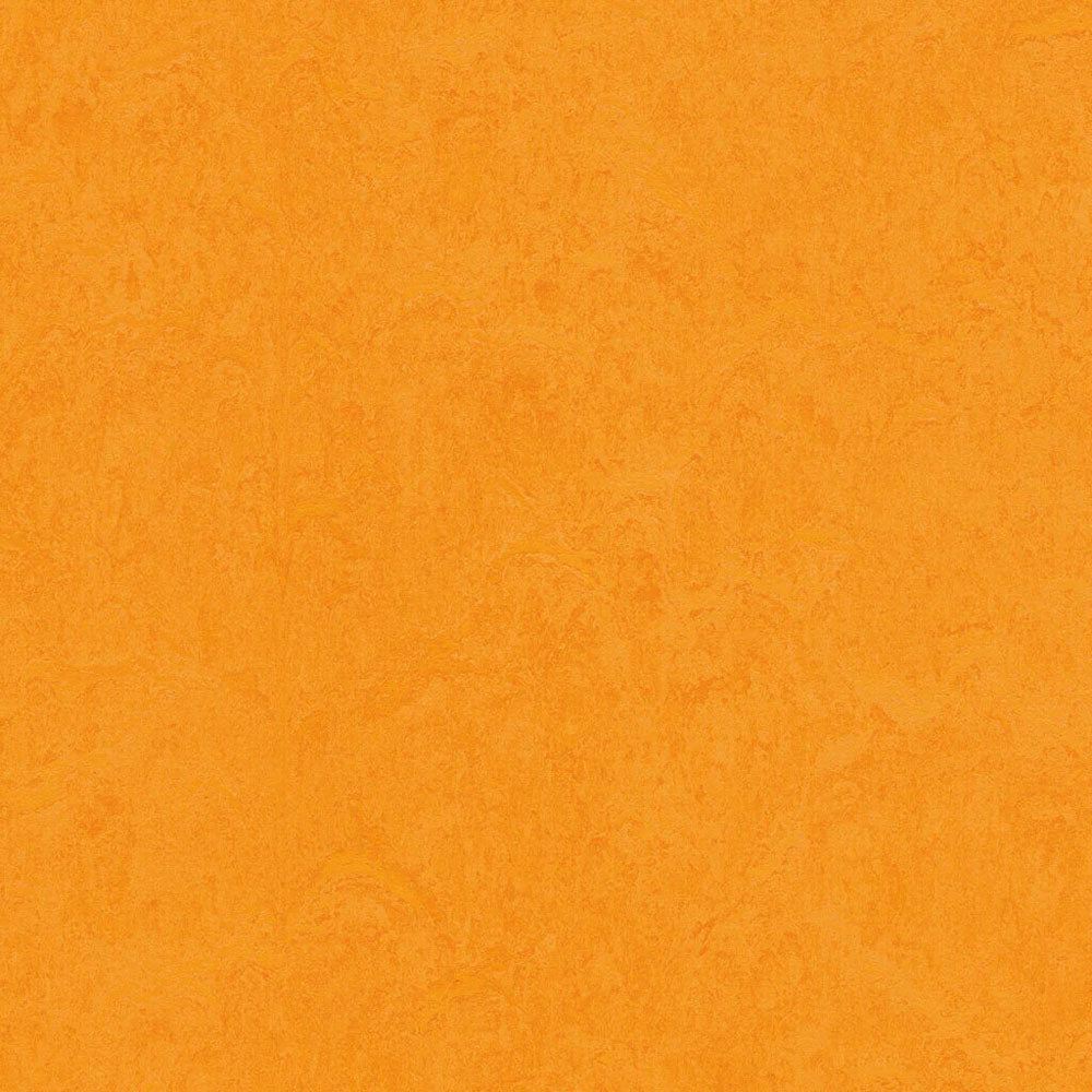 Marigold