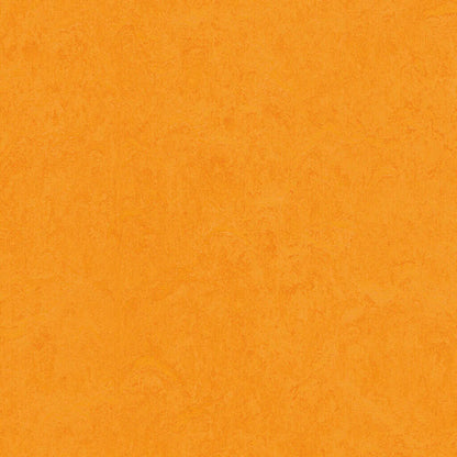 Marigold
