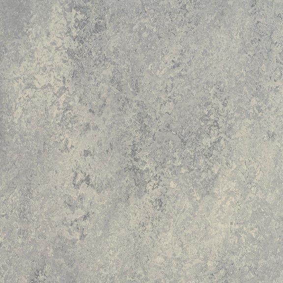 Dove Grey