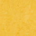 Lemon Zest
