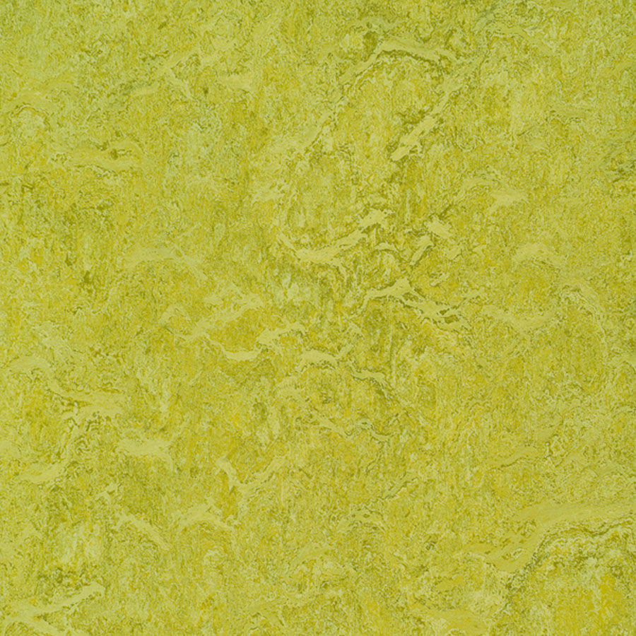 SAMPLE - Forbo Marmoleum Composition Sheet (MCS), Chartreuse – Green ...
