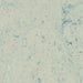Bluemoon 3429