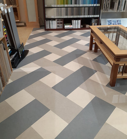 Eternity 3866, Silver Birch, and Barbados 3858