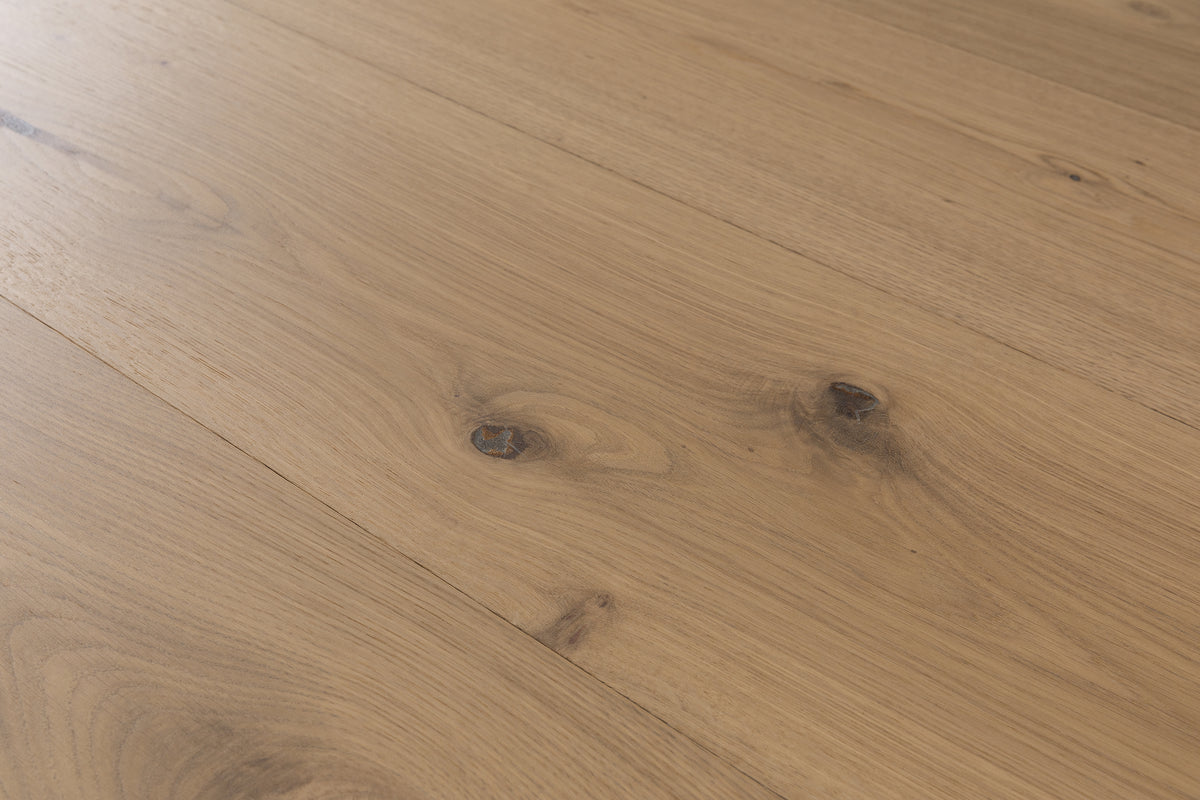 Misty White Oak XXL