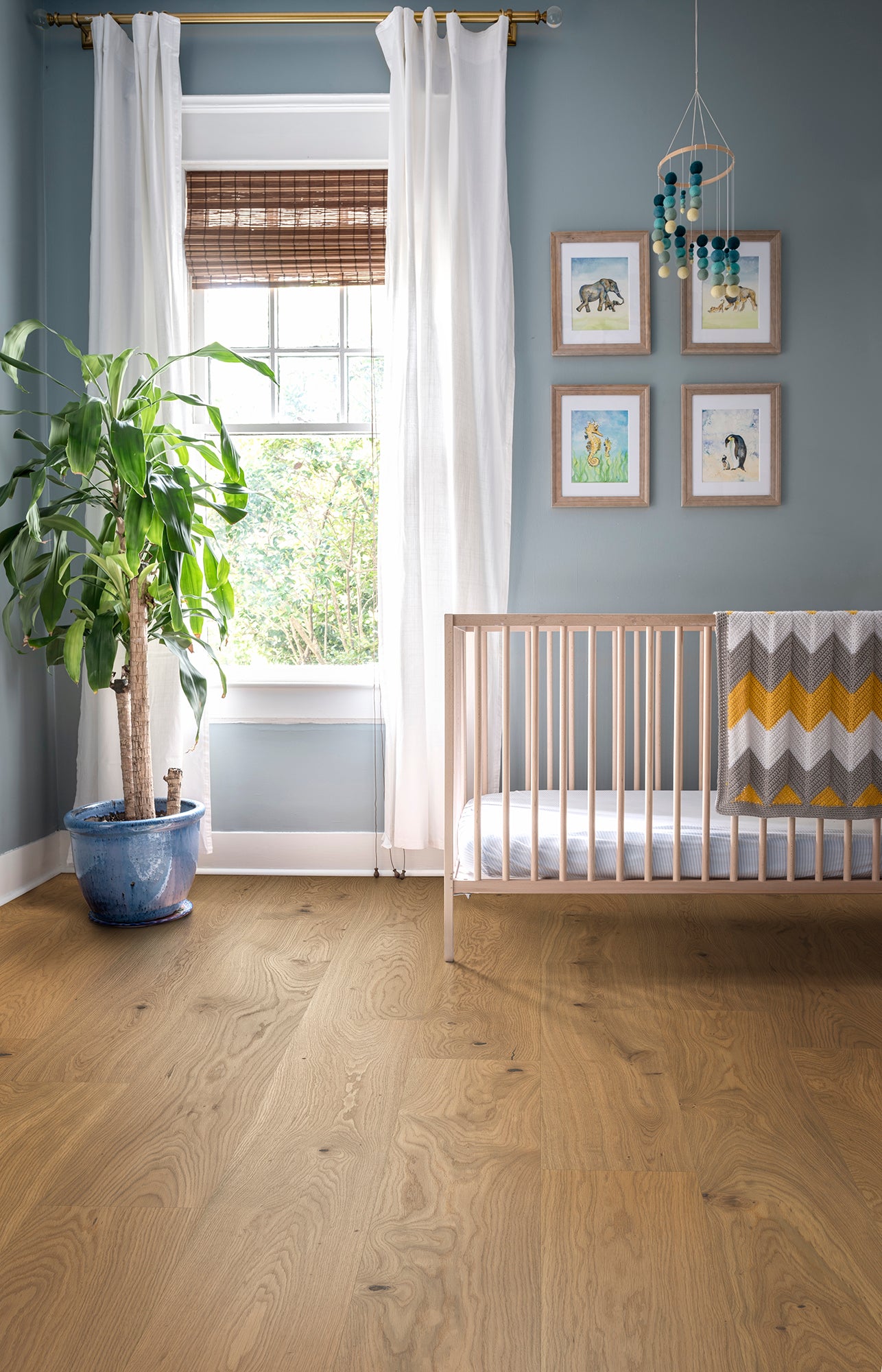 Honey Oak XL