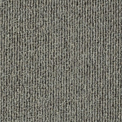 Light Grey/Medium Grey