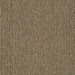 Medium Beige