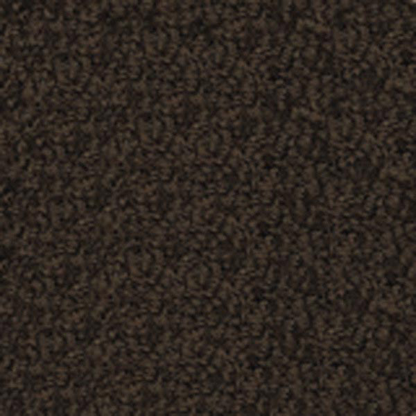Cocoa