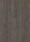 Oak Carbon