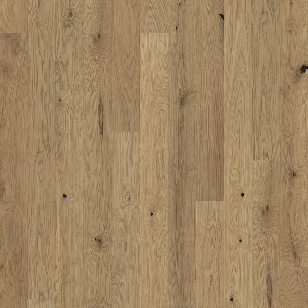 Oak Etch