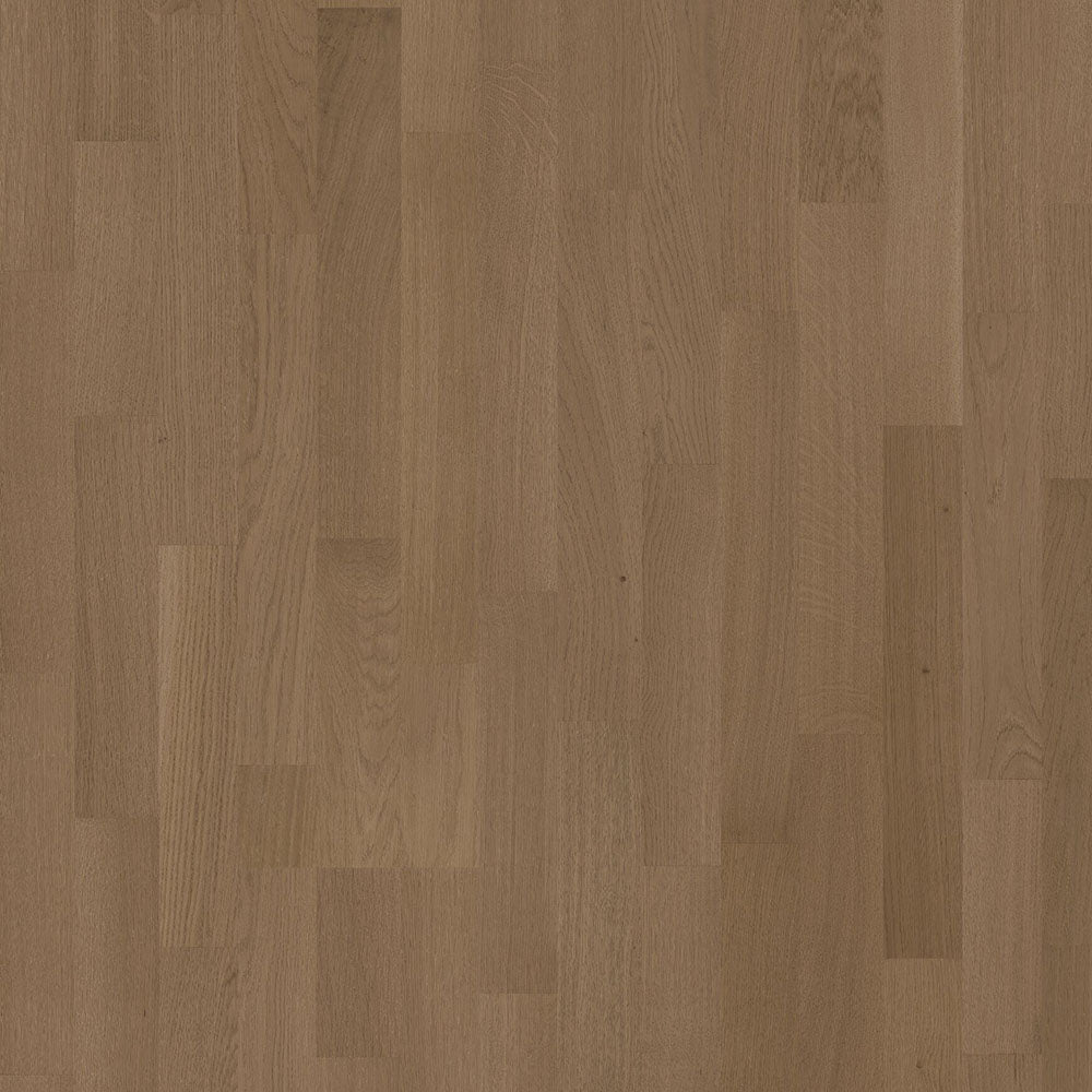 Oak Seed (PIN)