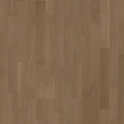 Oak Seed (PIN)
